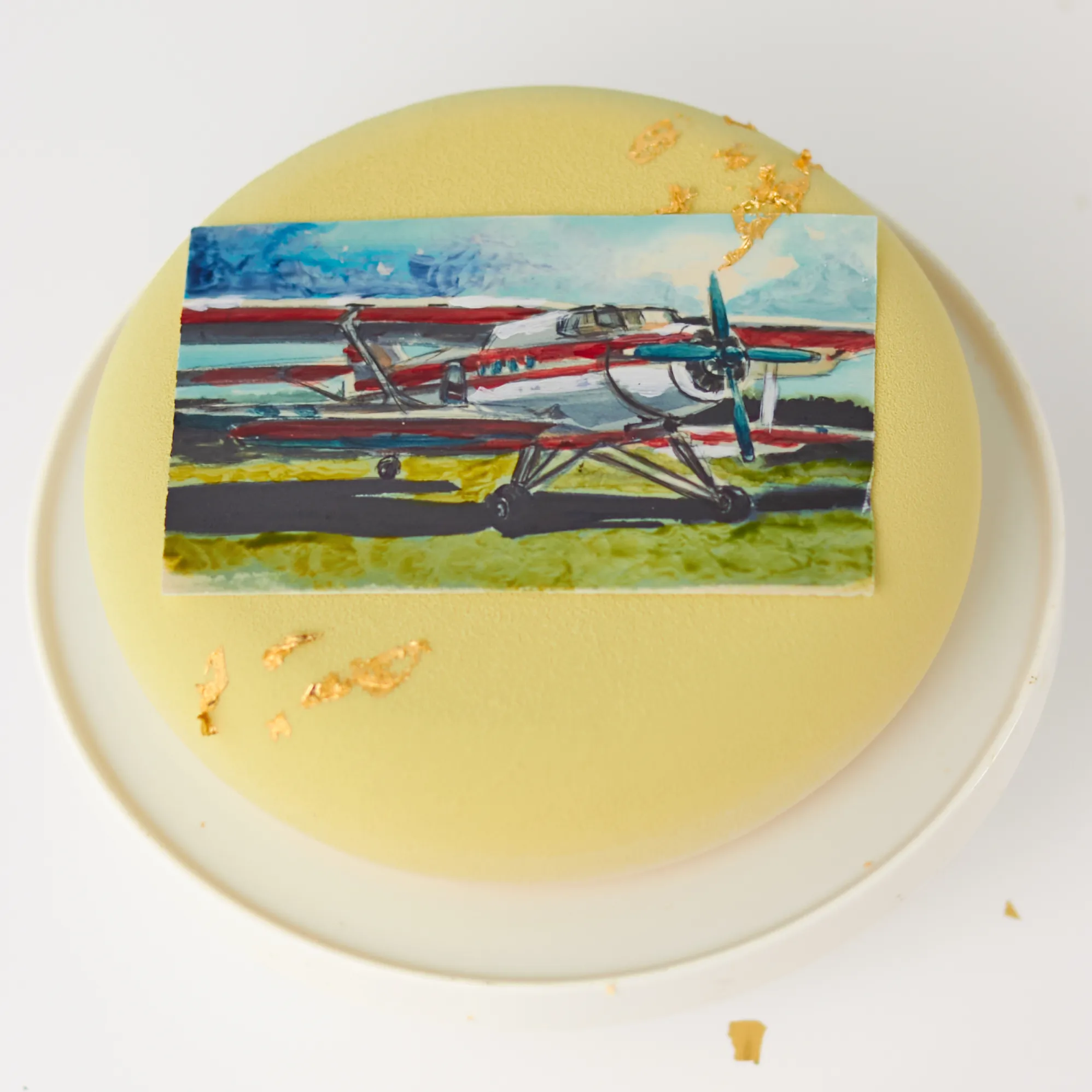 Торт с открыткой «Самолёт»