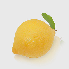 Lemon Kravitz