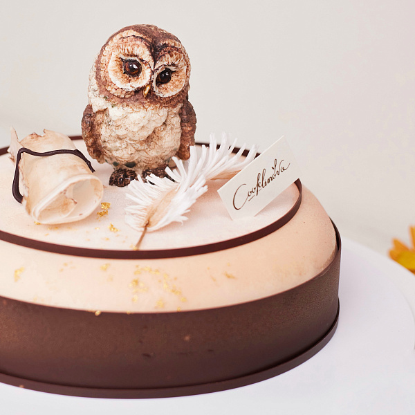 Торт «Сова знаний»_фото_товара1