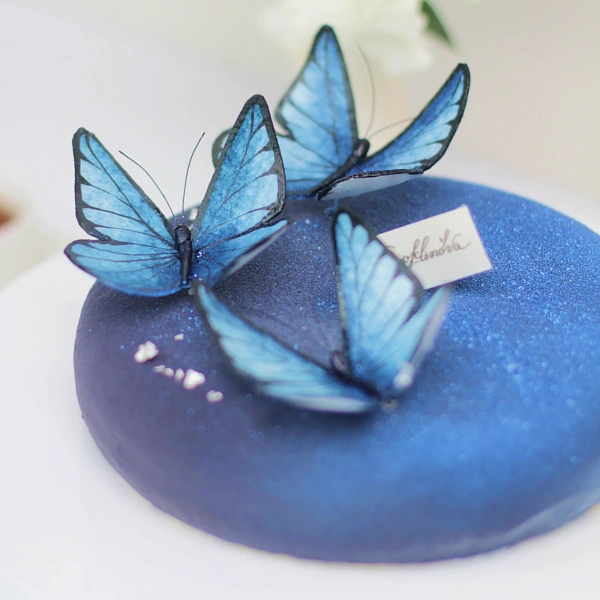 Торт «Morpho»_фото_товара2