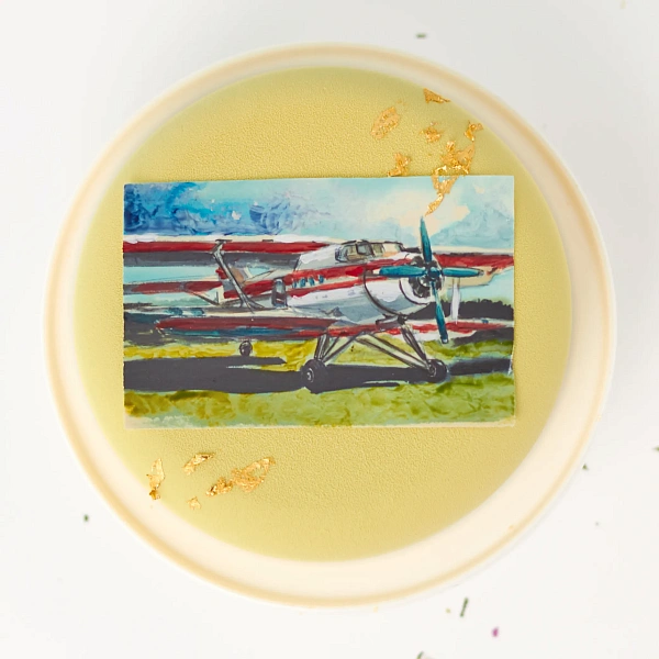 Торт с открыткой «Самолёт»_фото_товара0